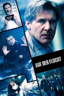 Auf der Flucht (1993) – Filmcover